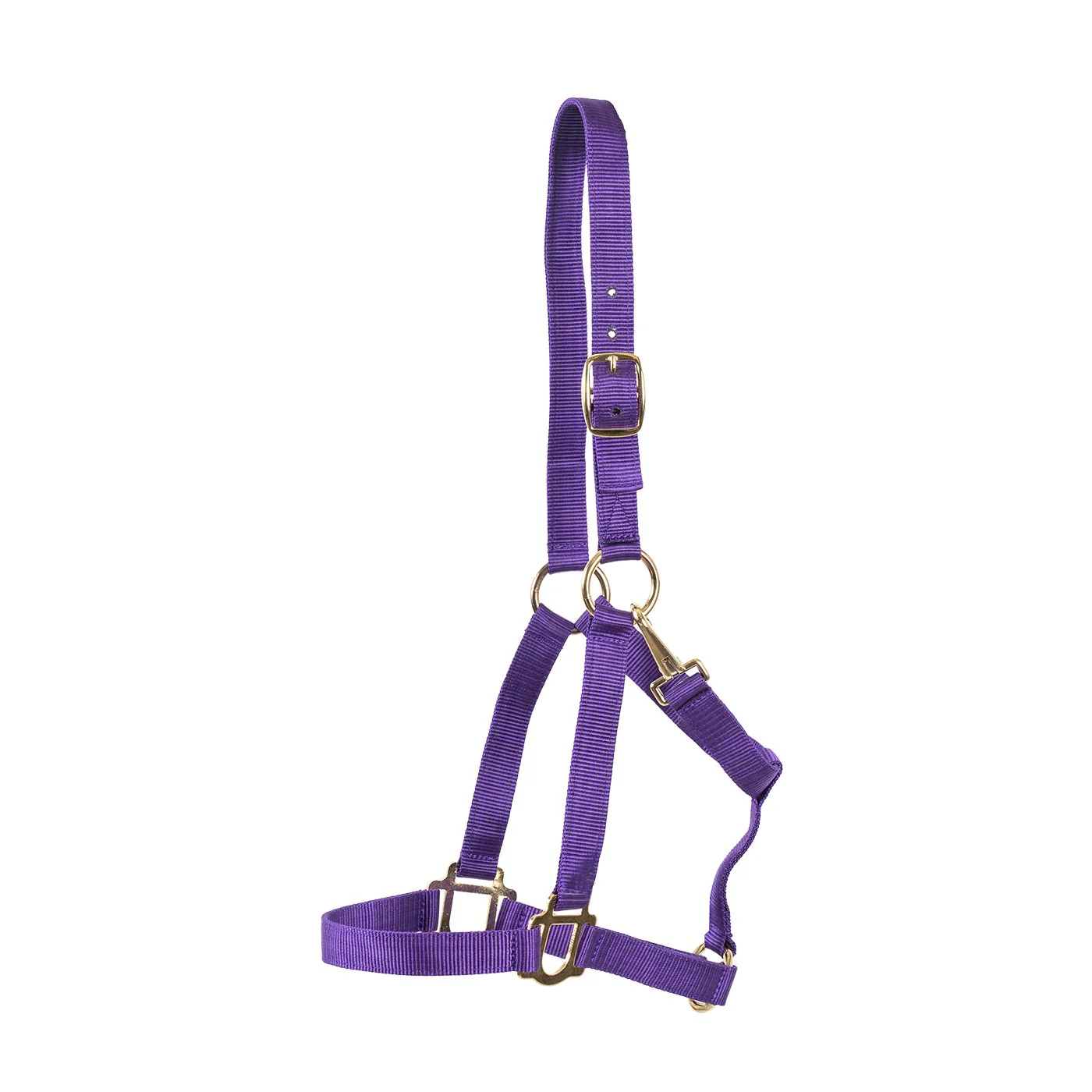 Supra Stable Halter - Image 2