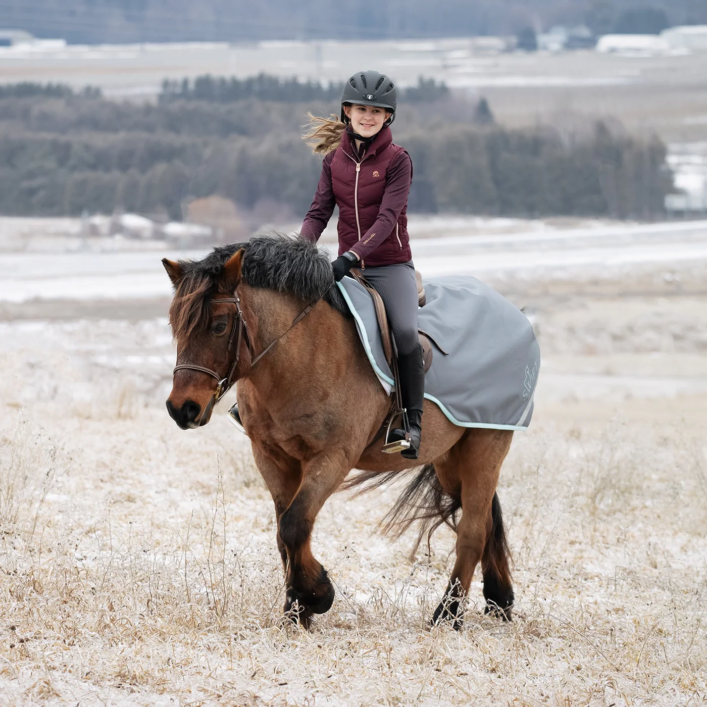 Swift Pony Exercise Sheet - Image 3