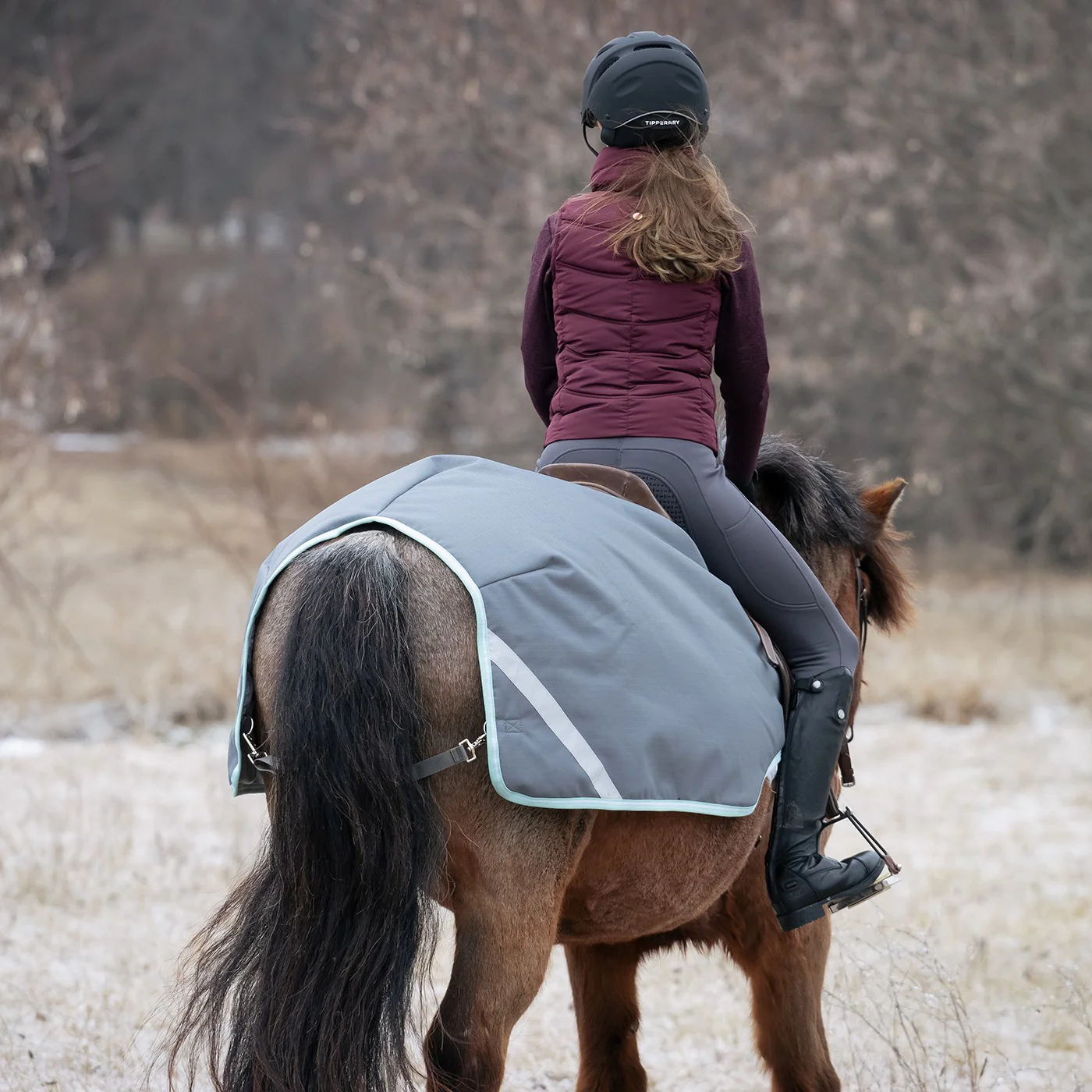 Swift Pony Exercise Sheet - Image 4