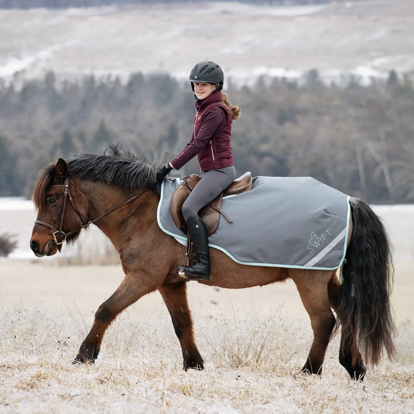 Swift Pony Exercise Sheet - Image 5