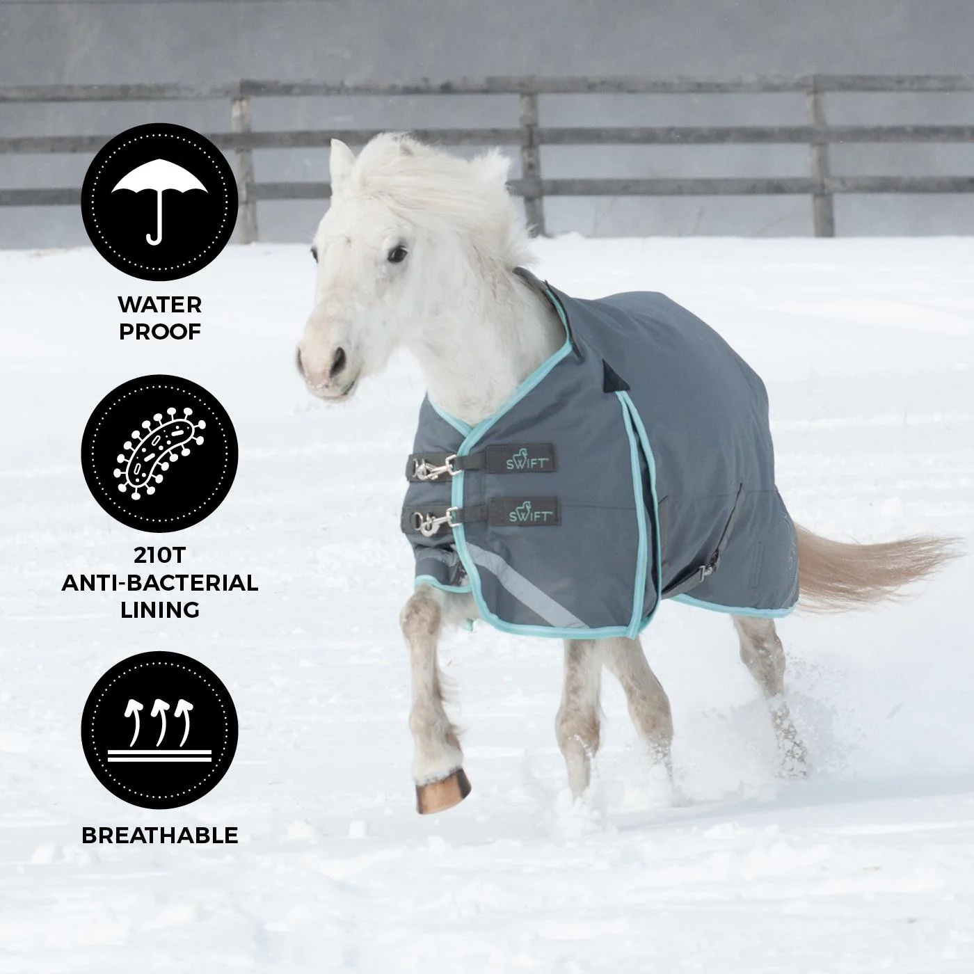 Swift Pony Turnout Blanket 300 g - Image 3