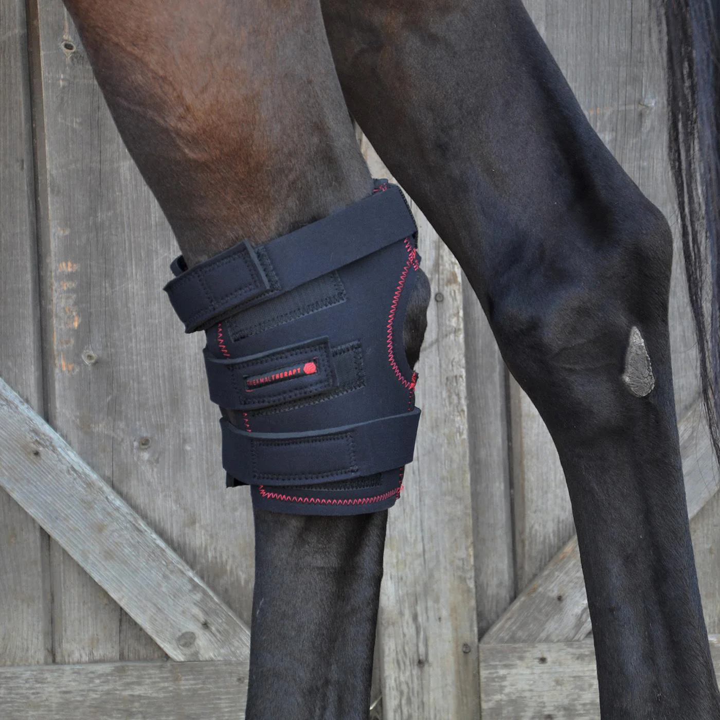 Thermal Therapy Hock Wraps - Image 2