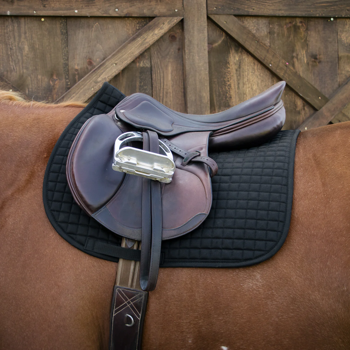 Thermal Therapy Saddle Pad - Image 3