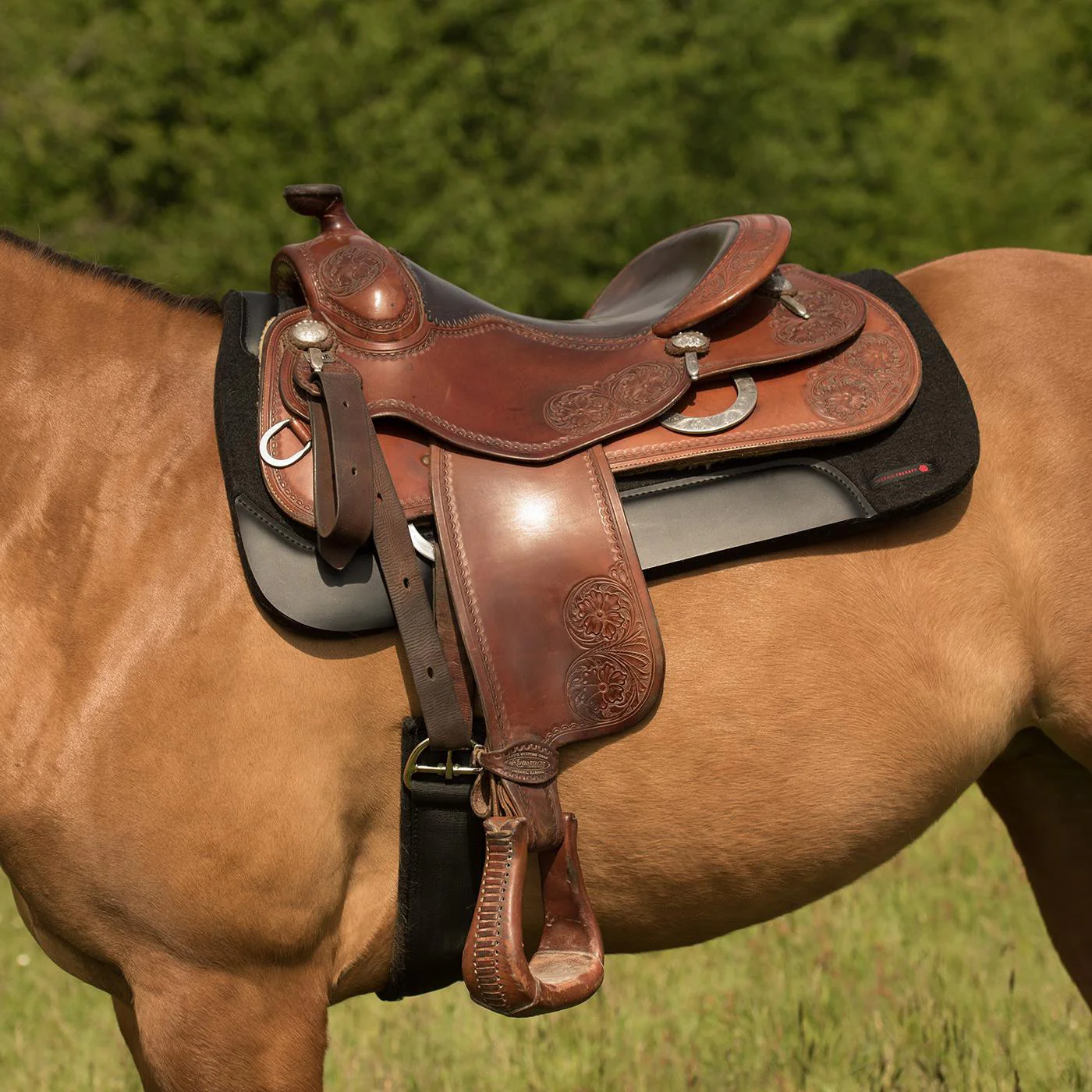 Thermal Therapy Western Felt Saddle Pad - Image 2