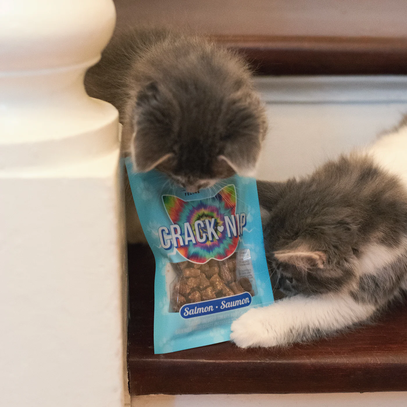 This & That Crack Nip Salmon Cat Treats 43 g - Image 3