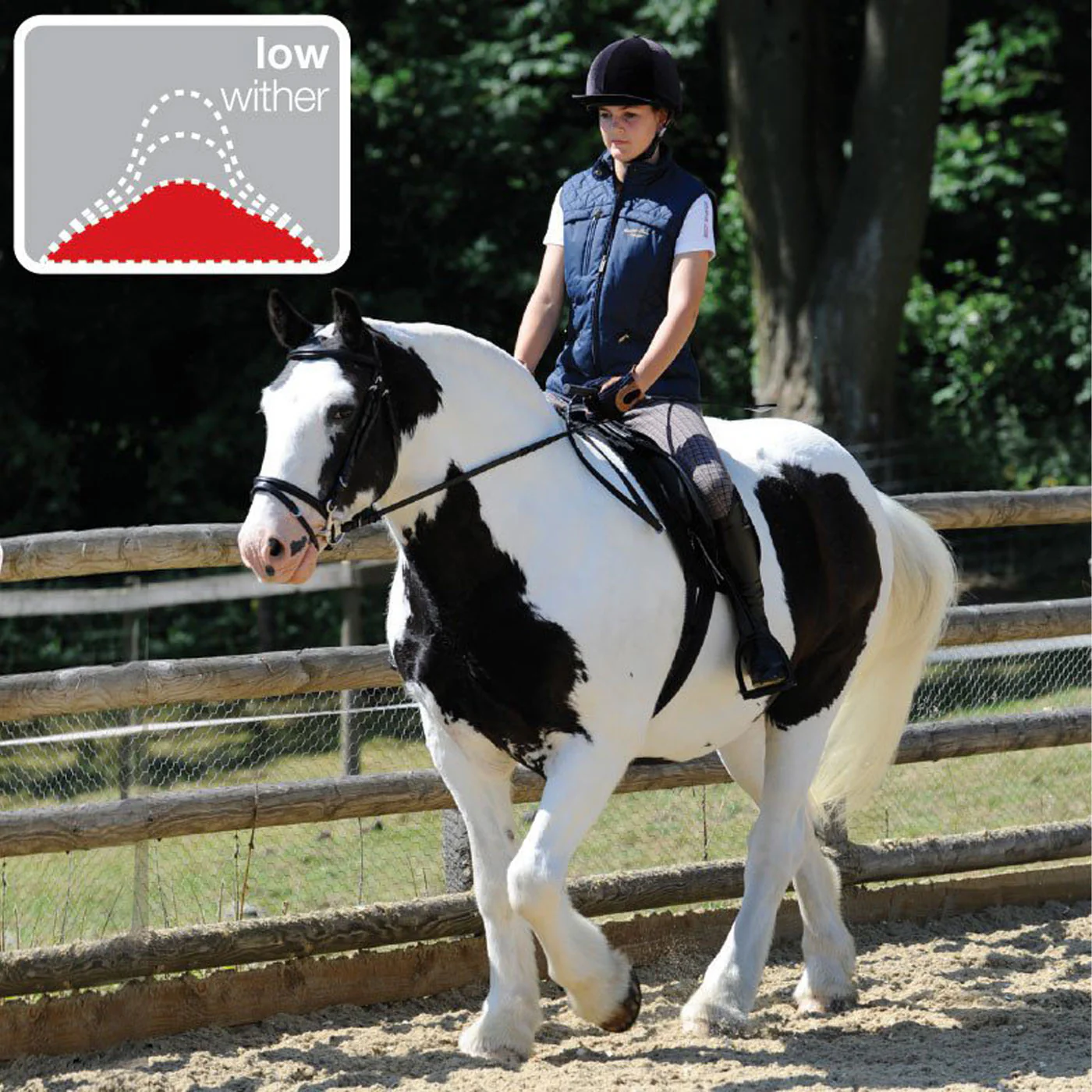 Thorowgood T4 Broadback All Purpose Saddle - Image 2