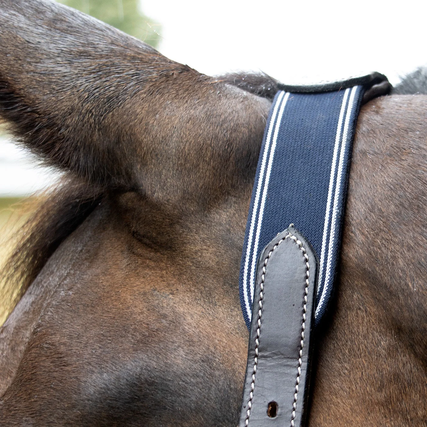 Val du Bois Comfort Crown Leather & Elastic Halter - Image 3