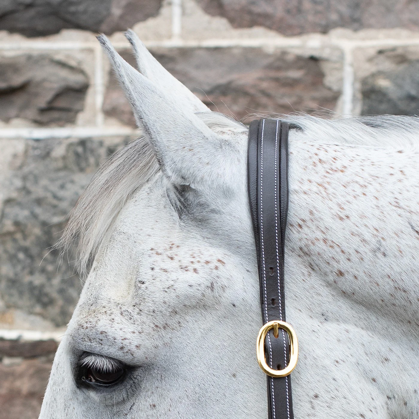 Val du Bois Comfort Soft Padded Leather Halter - Image 2