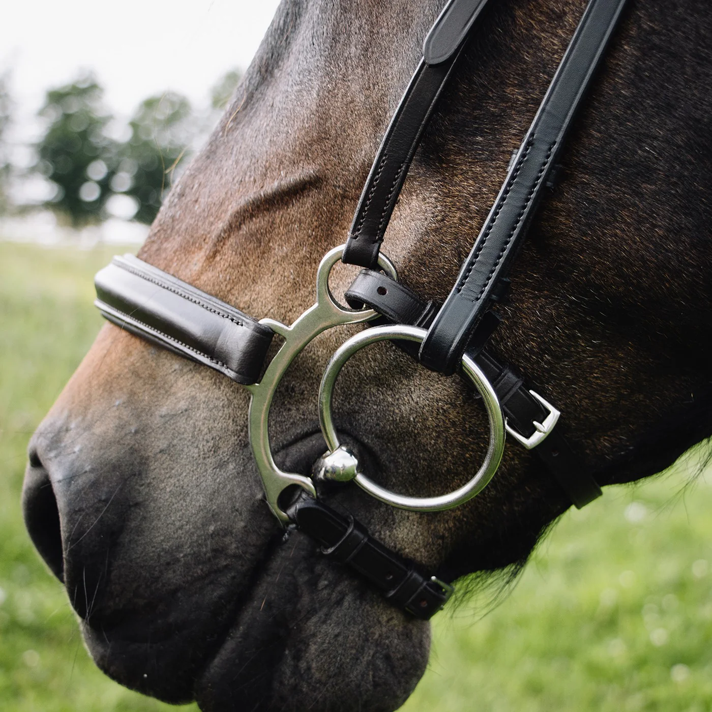Val du Bois Controller Noseband - Image 3