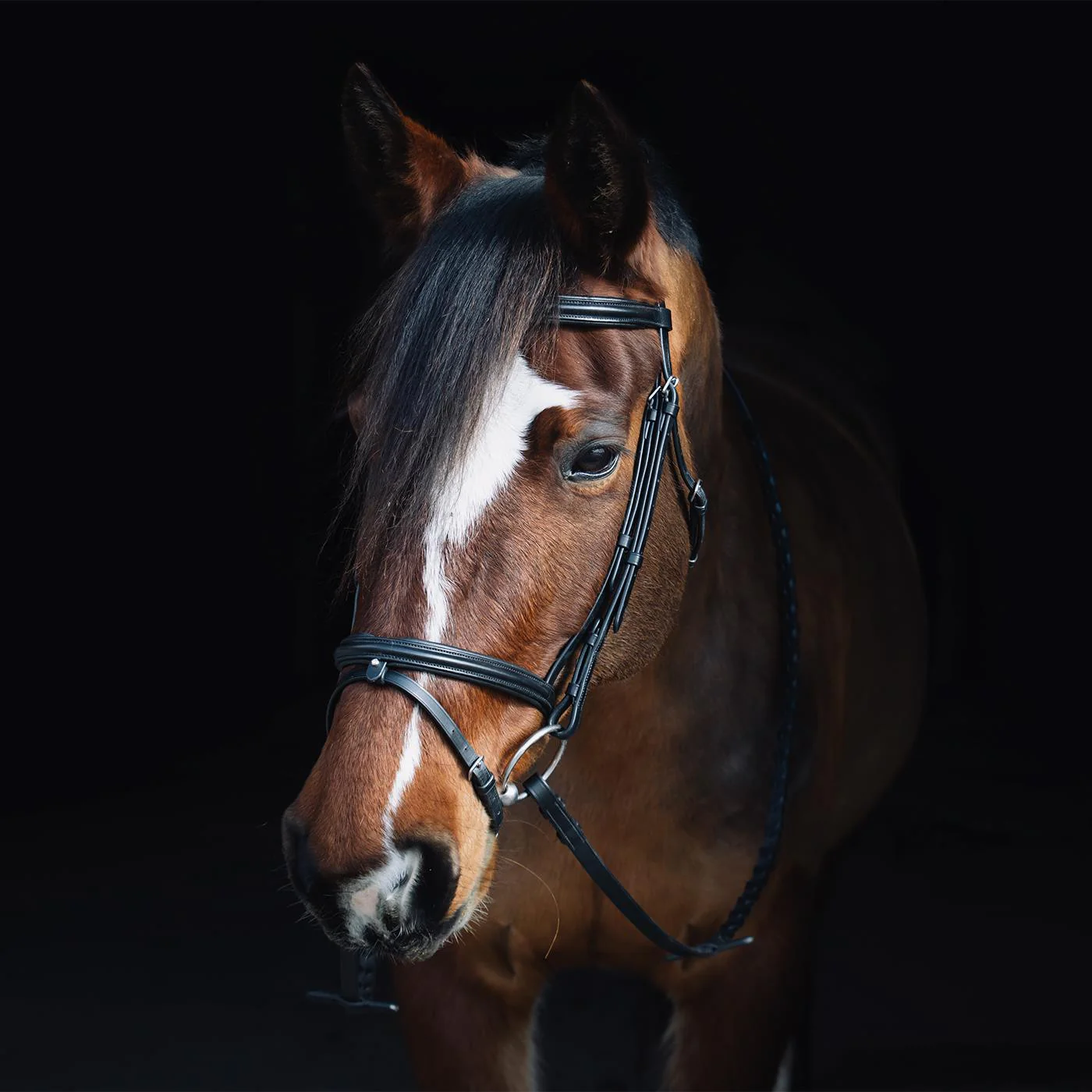 Val du Bois Padded Dressage Bridle W/ Removable Flash - Image 4
