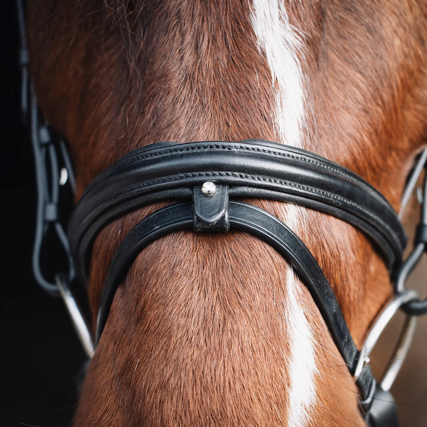Val du Bois Padded Dressage Bridle W/ Removable Flash - Image 5