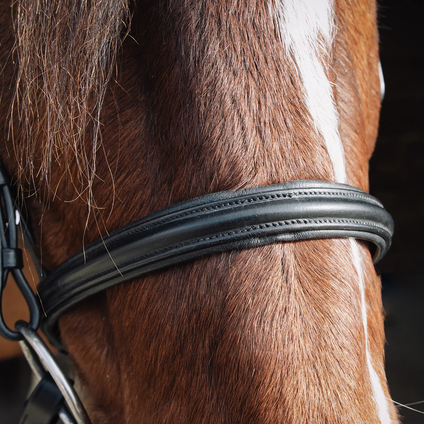 Val du Bois Padded Dressage Bridle W/ Removable Flash - Image 6