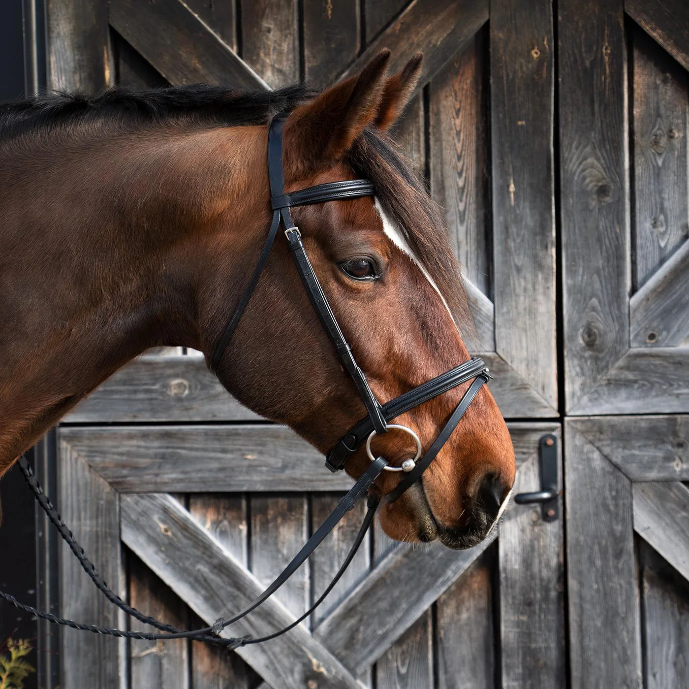 Val du Bois Padded Dressage Bridle W/ Removable Flash - Image 7
