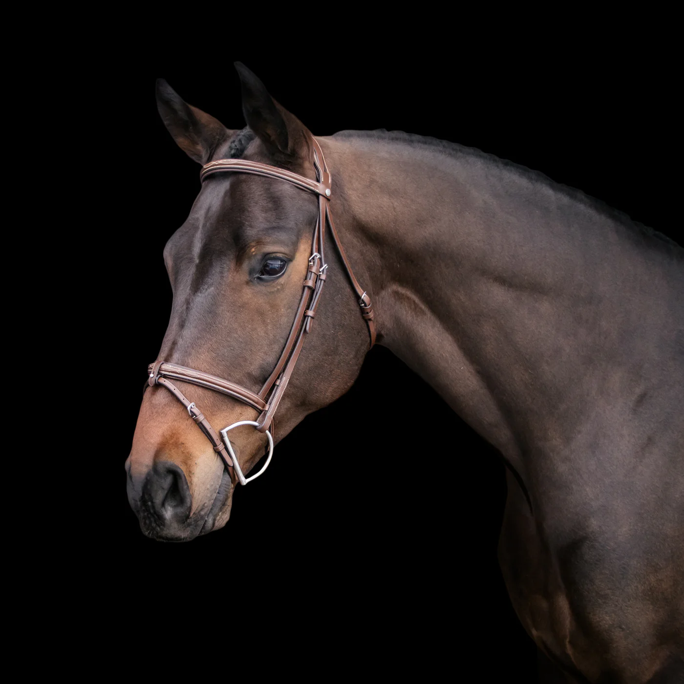 Val du Bois Padded Fancy Stitched Bridle W/ Removable Flash - Image 12