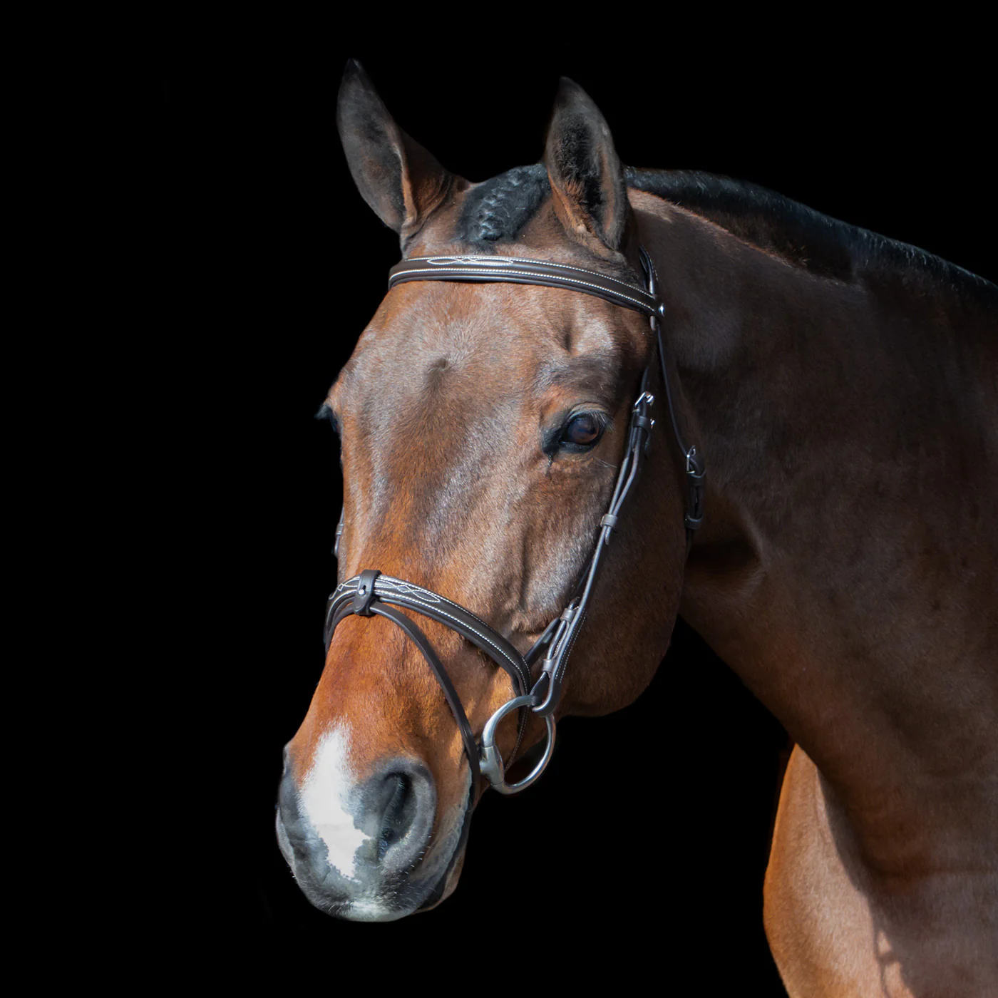 Val du Bois Padded Fancy Stitched Bridle W/ Removable Flash - Image 3