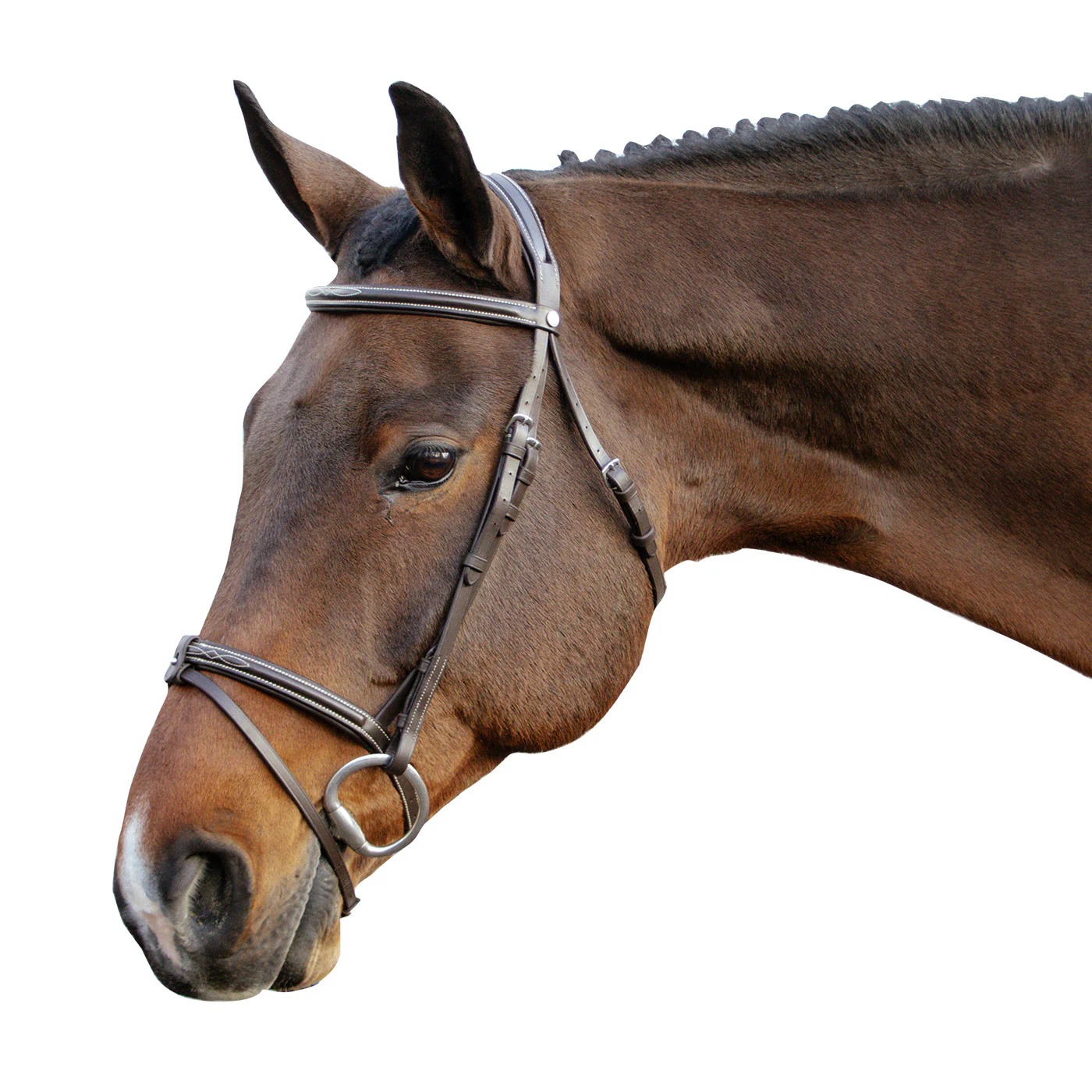 Val du Bois Padded Fancy Stitched Bridle W/ Removable Flash - Image 4