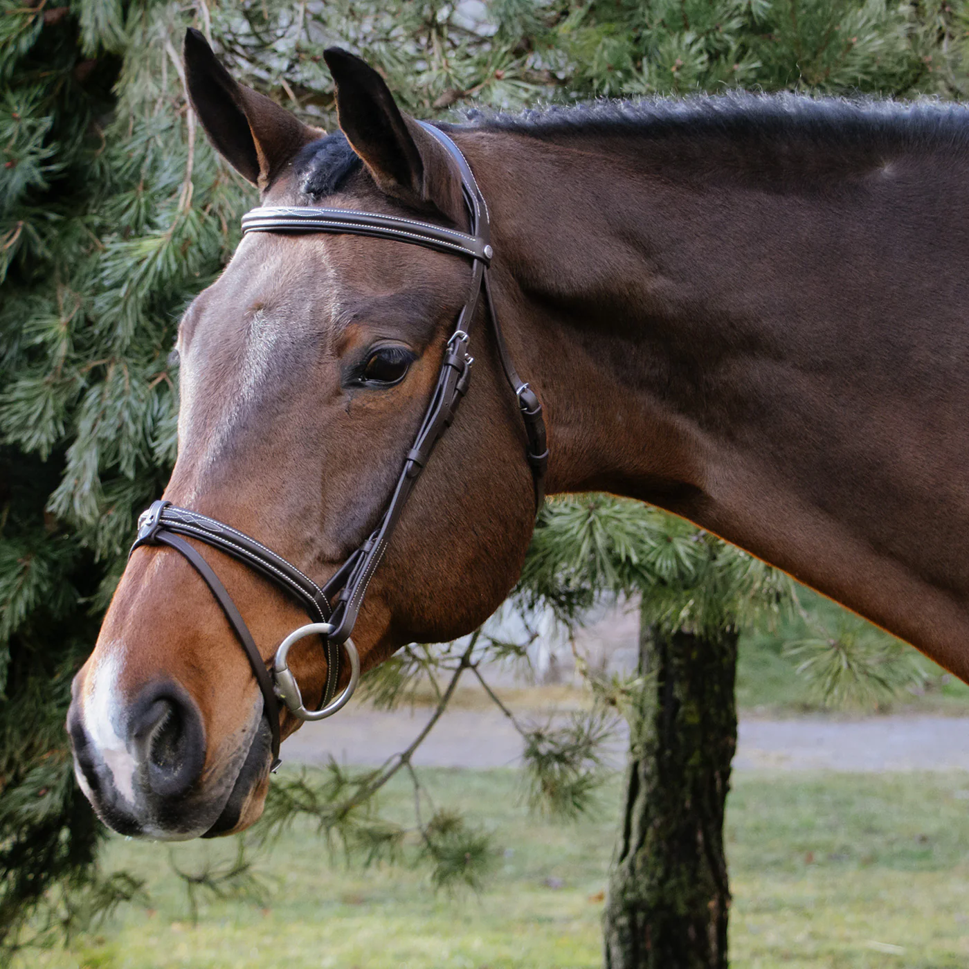 Val du Bois Padded Fancy Stitched Bridle W/ Removable Flash - Image 5