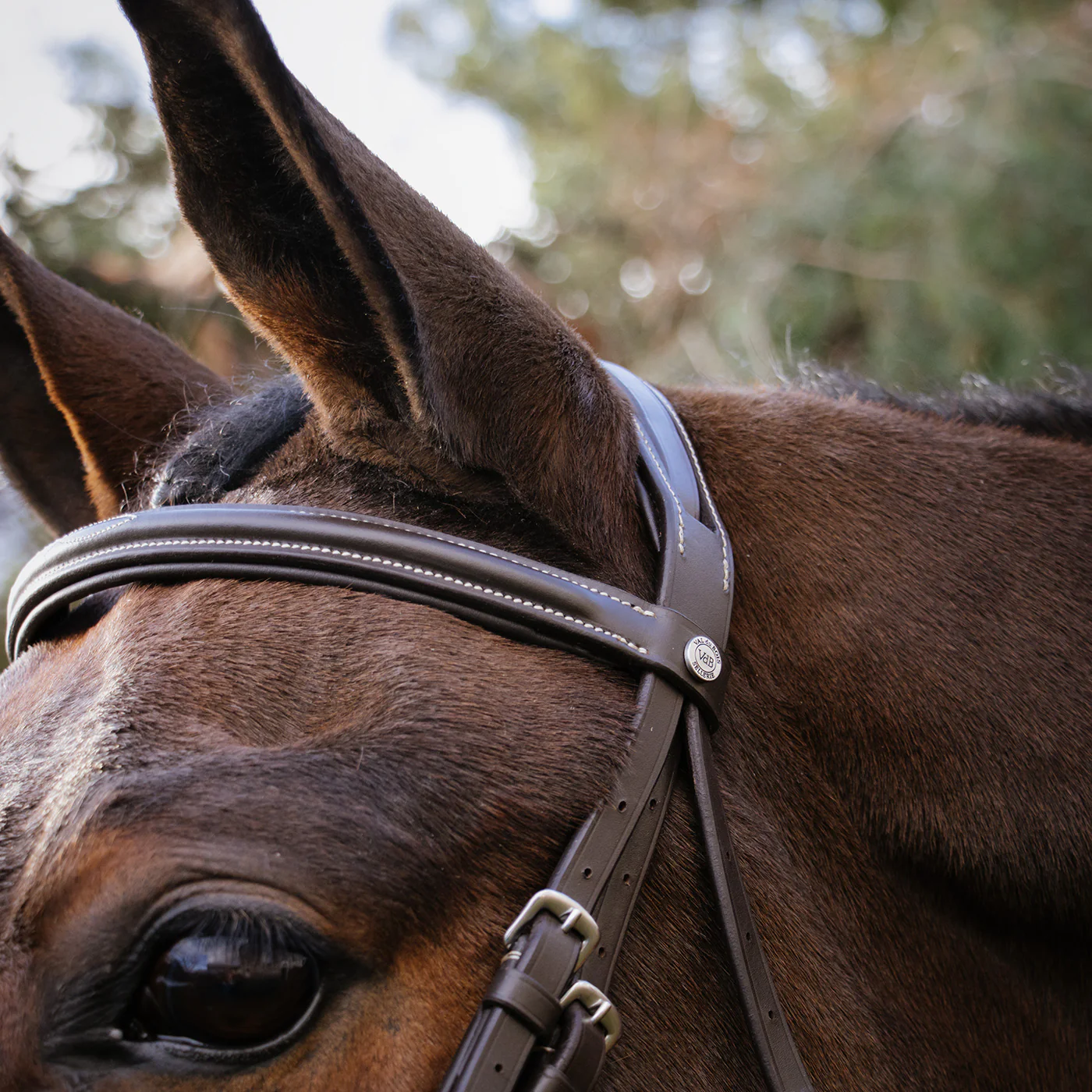 Val du Bois Padded Fancy Stitched Bridle W/ Removable Flash - Image 6