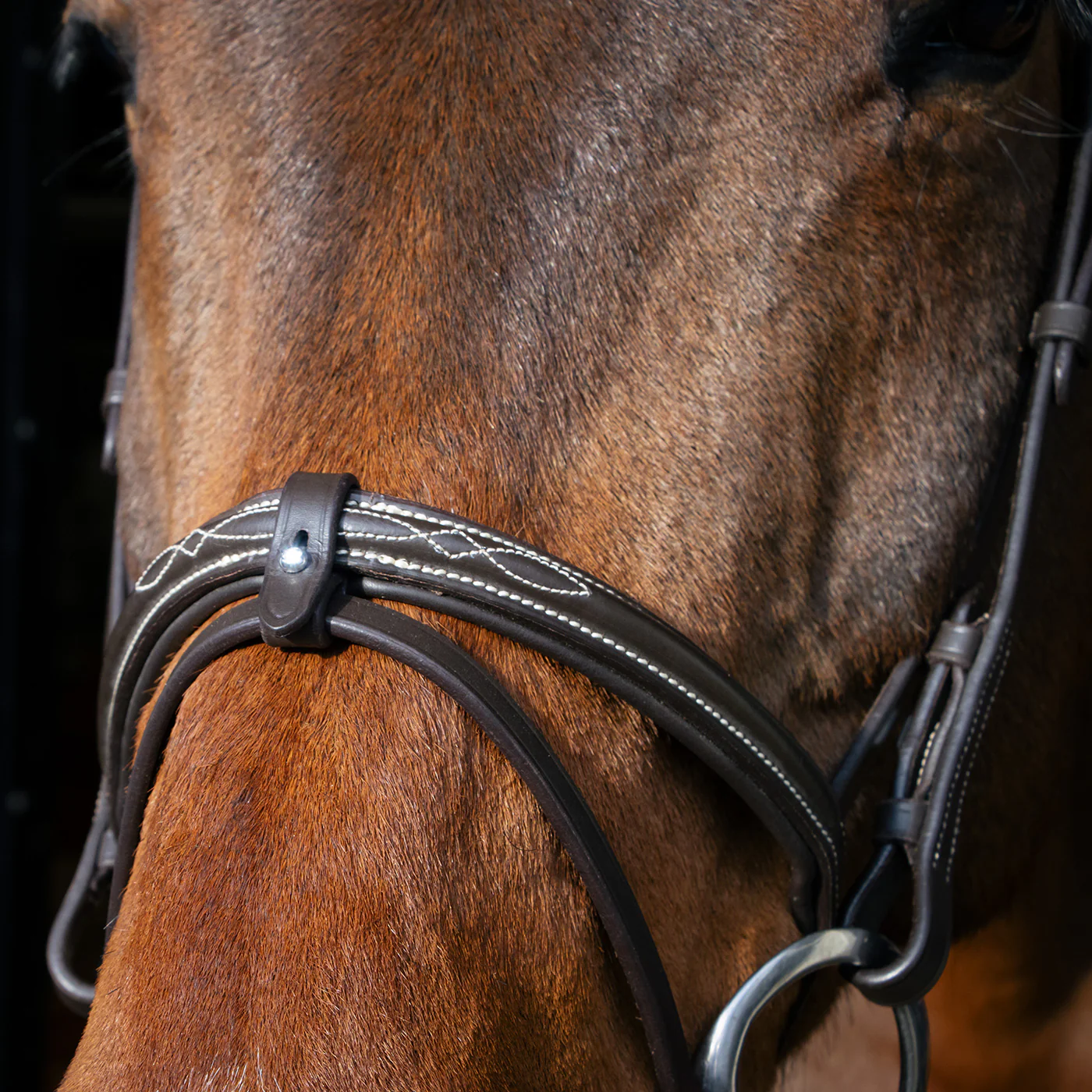 Val du Bois Padded Fancy Stitched Bridle W/ Removable Flash - Image 7