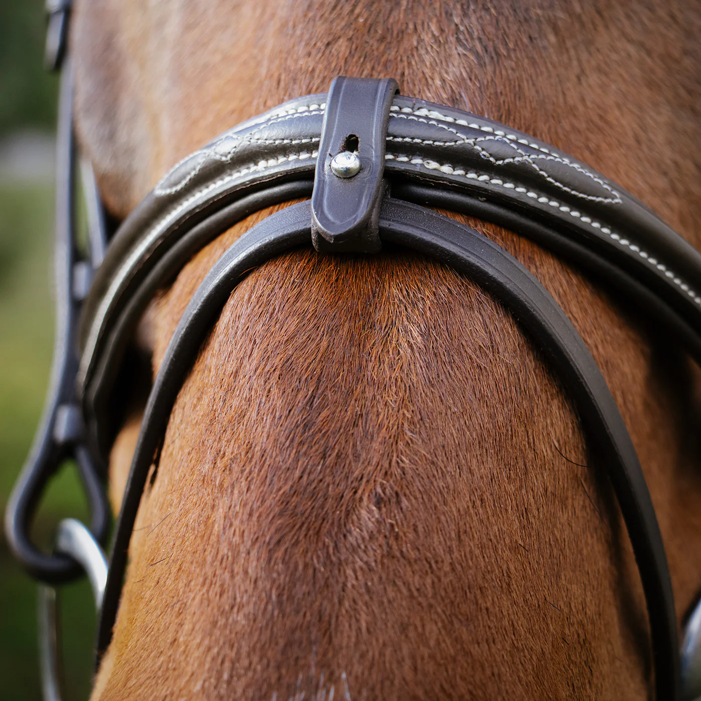 Val du Bois Padded Fancy Stitched Bridle W/ Removable Flash - Image 8