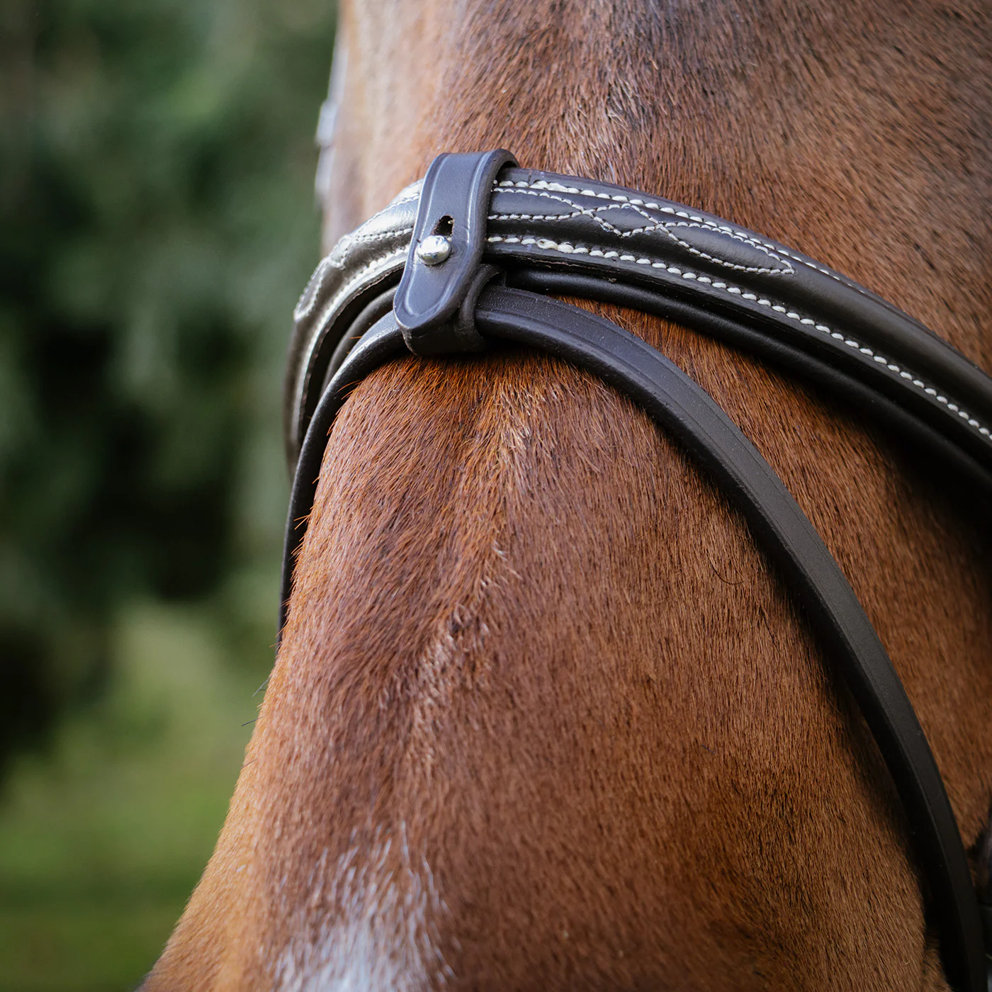 Val du Bois Padded Fancy Stitched Bridle W/ Removable Flash - Image 9