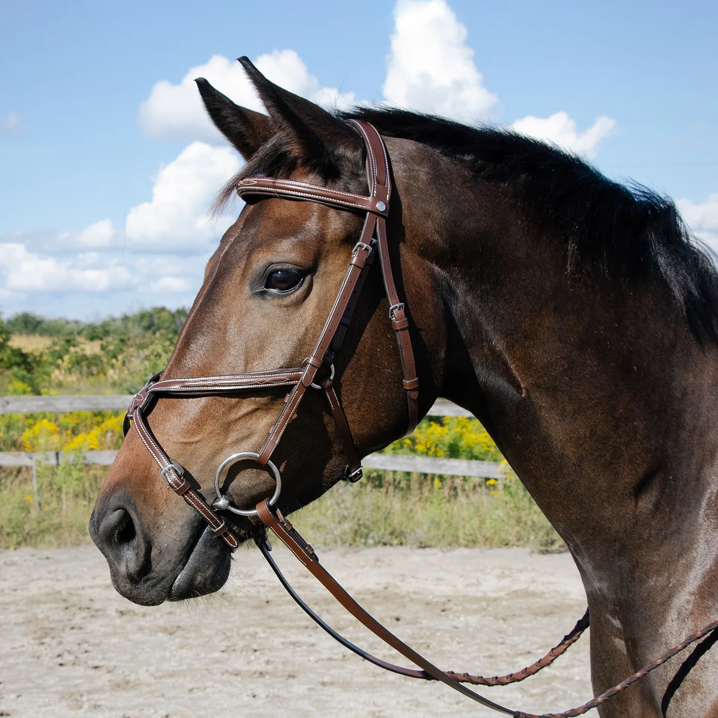 Val du Bois Padded Fancy Stitched Figure-8 Bridle - Image 12