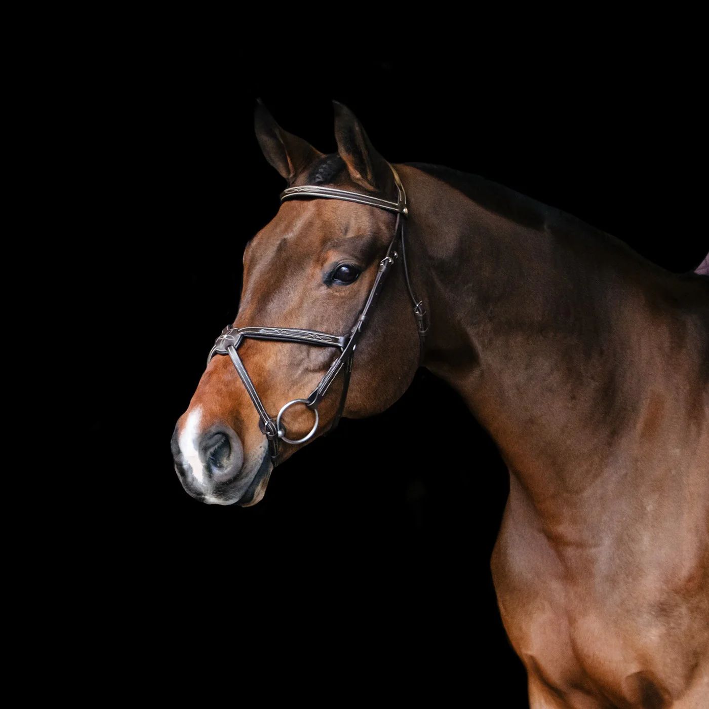 Val du Bois Padded Fancy Stitched Figure-8 Bridle - Image 5