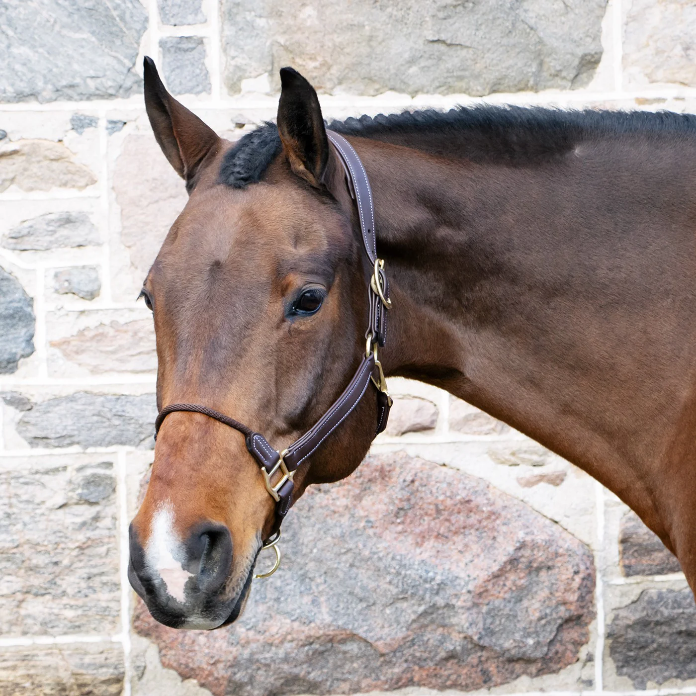 Val du Bois Training Vegan Leather Halter - Image 2