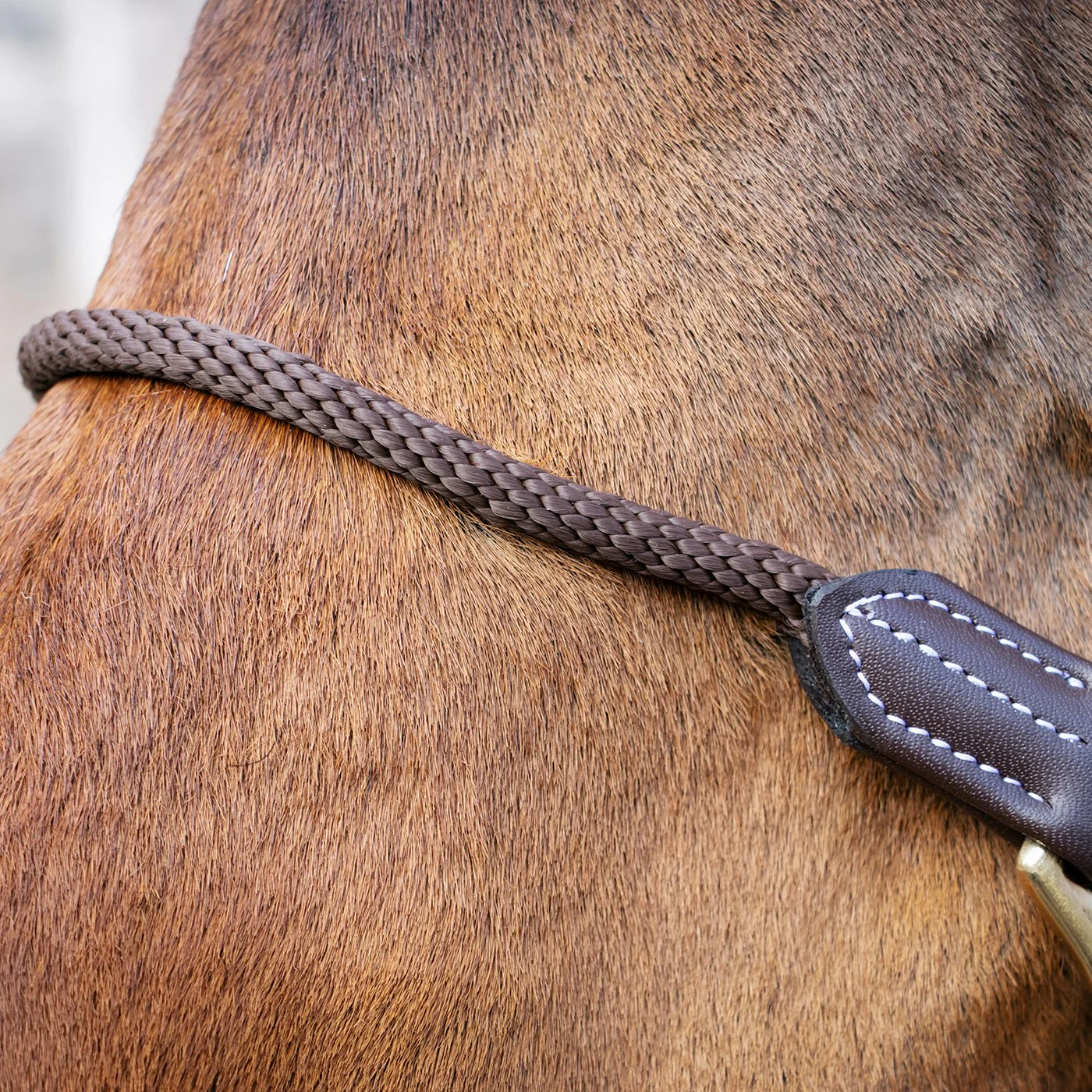 Val du Bois Training Vegan Leather Halter - Image 3