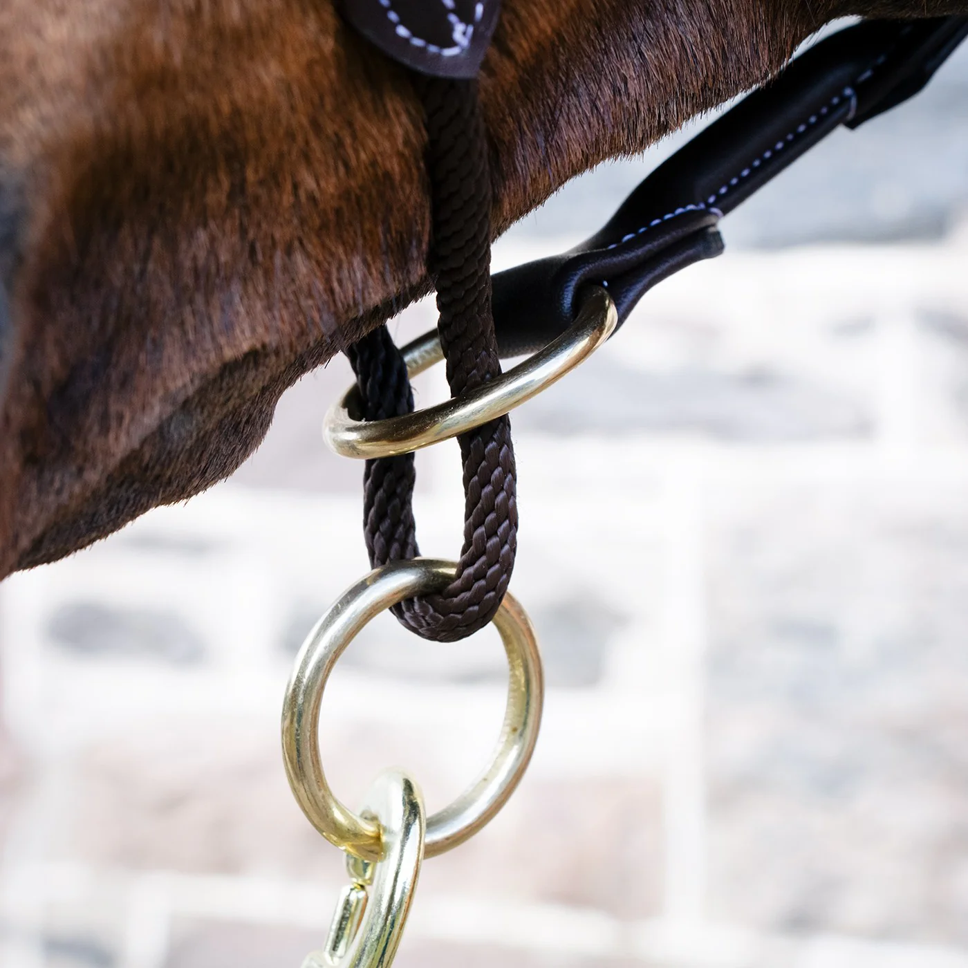 Val du Bois Training Vegan Leather Halter - Image 4