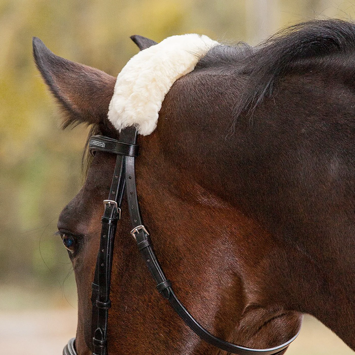 Waldhausen Lambskin Noseband & Headpiece Cushioning - Image 3
