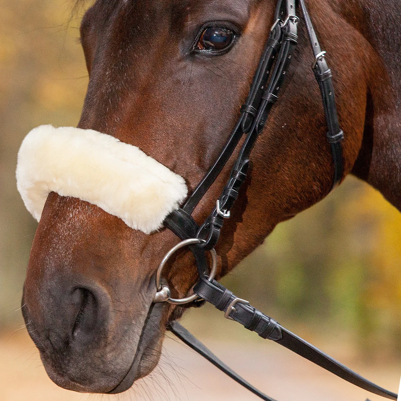 Waldhausen Lambskin Noseband & Headpiece Cushioning - Image 4