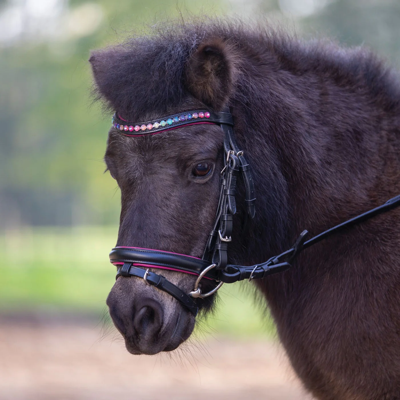 Waldhausen Pinky Star Pony Bridle - Image 3